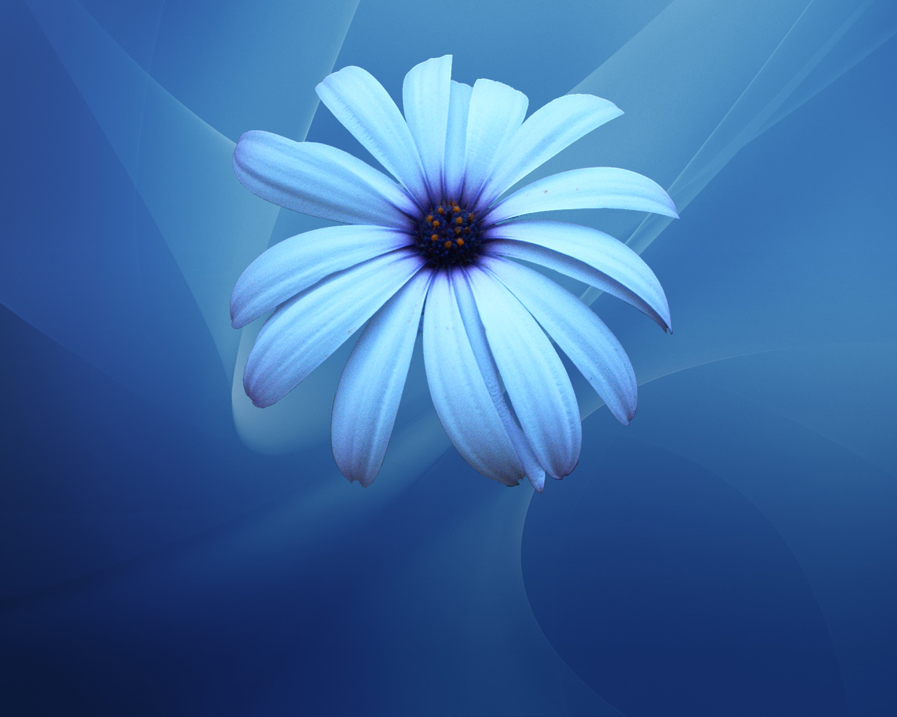 Blue Flowers Wallpapers Movie Hd Wallpapers